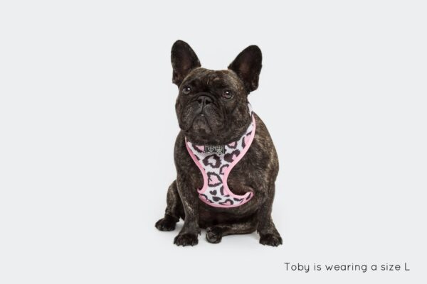 French Bulldog wearing a love heart leopard print design 'Wild Love' Dog Harness by Big & Little Dogs
