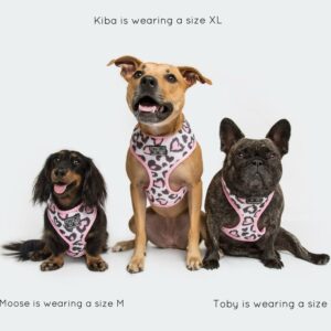 Dachshund, Staffie and French Bulldog wearing a love heart leopard print design 'Wild Love' Dog Harness by Big & Little Dogs