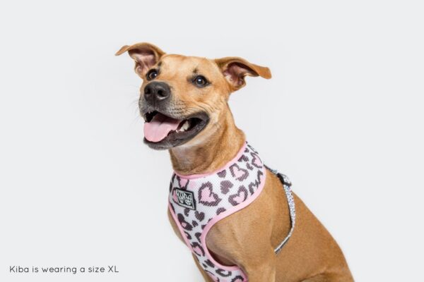 Staffie wearing a love heart leopard print design 'Wild Love' Dog Harness by Big & Little Dogs