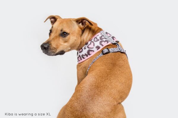 Staffie wearing a love heart leopard print design 'Wild Love' Dog Harness by Big & Little Dogs