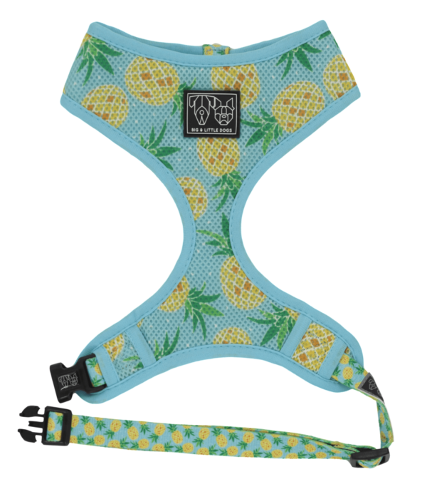 A pineapple print design 'Pine For You' Dog Harness by Big & Little Dogs