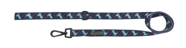 Dinosaur print design 'Dino-Mite' Dog Lead by Big & Little Dogs