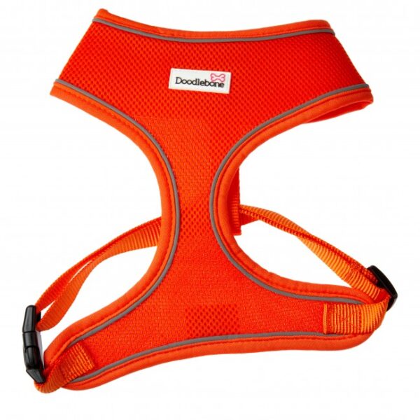 Doodlebone Orange Airmesh Dog Harness