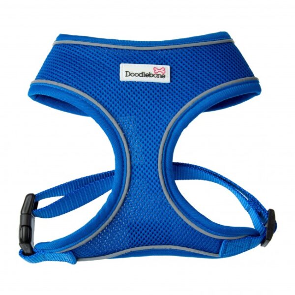 Royal Blue Doodlebone Airmesh Dog Harness