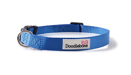 Doodlebone Bold Nylon Adjustable Royal Blue Dog Collar