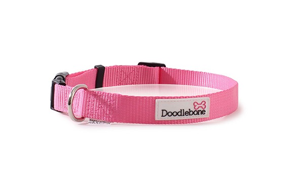 Doodlebone Bold Nylon Adjustable Pink Dog Collar