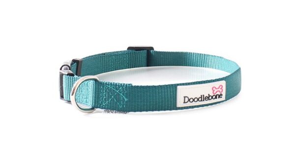 Doodlebone Bold Nylon Adjustable Teal Green Dog Collar