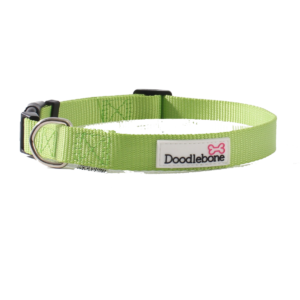 Doodlebone Bold Nylon Adjustable Apple Green Dog Collar