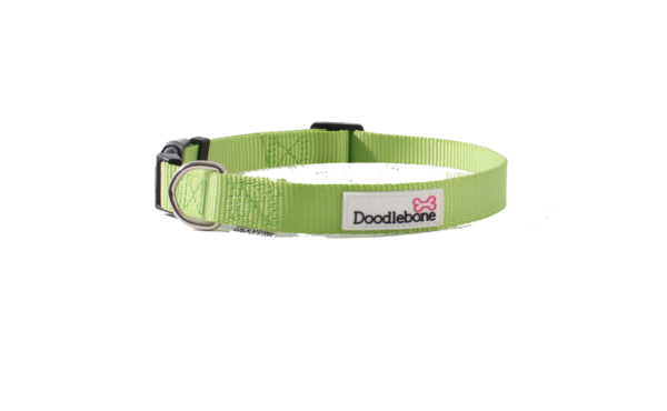 Doodlebone Bold Nylon Adjustable Apple Green Dog Collar