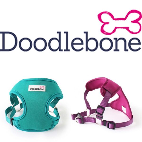 Doodlebone Teal Neo-Flex Dog Harness