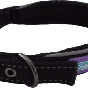 Dog & Co Black Padded Reflective Buckle Dog Collar