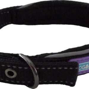 Dog & Co Black Padded Reflective Dog Collar at The Lancashire Dog Company