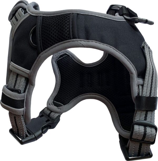 Dog & Co Sports Adjustable Reflective Black Dog Harness