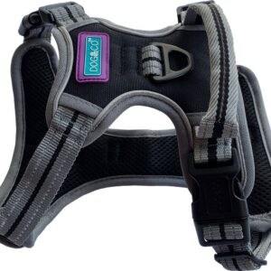 Black Dog & Co Sports Adjustable Reflective Dog Harness