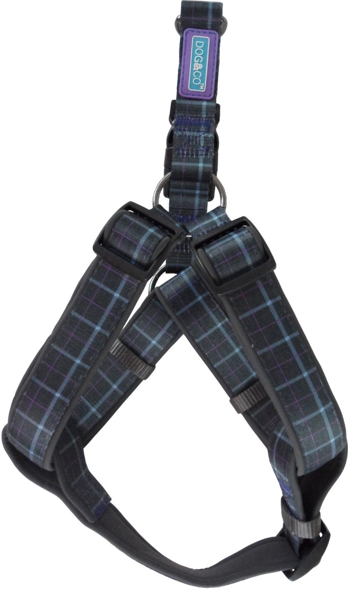 Dog Co Country Check Padded Strap Dog Harness Blue