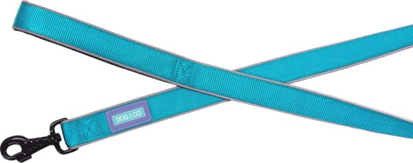 Dog & Co Strong Nylon Blue Dog Lead