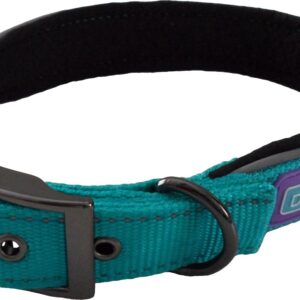 Dog & Co Blue Padded Reflective Buckle Dog Collar