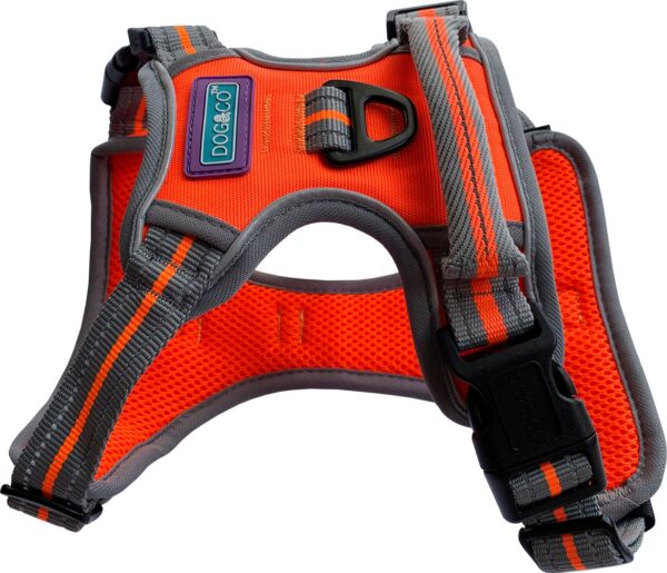 Dog & Co Sports Dog Harness