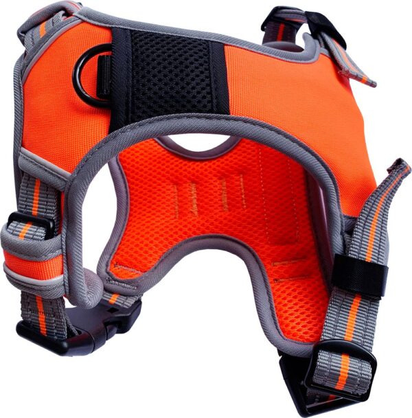 Orange Dog & Co Adjustable Front Clip Sports Dog Harness