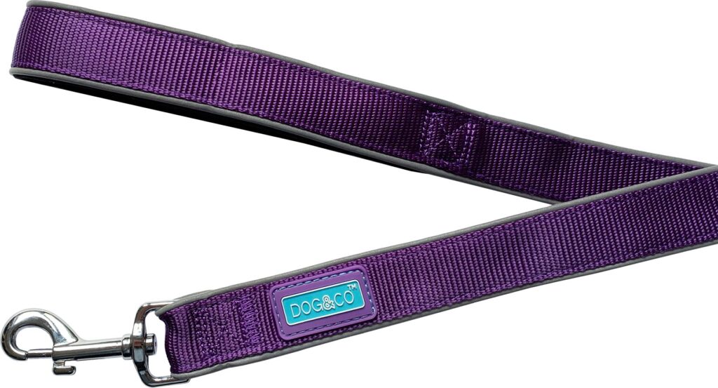 Dog & Co Strong Nylon Padded Reflective Purple Dog Lead