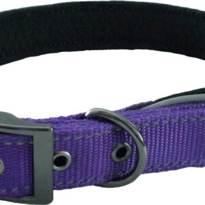 Dog & Co Purple Reflective Padded Dog Collar at The Lancashire Dog Company