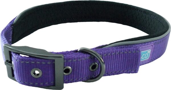 Dog & Co Purple Padded Reflective Buckle Dog Collar