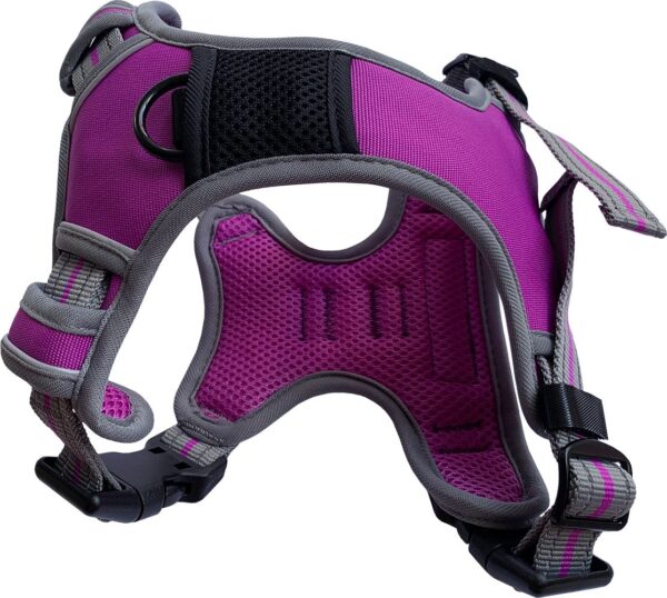 Dog & Co Sports Adjustable Reflective Purple Dog Harness