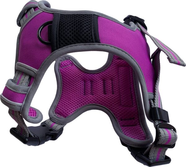 Hem and Boo Purple Sports Dog Harness at The Lancashire Dog Company