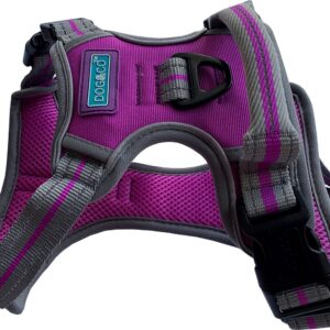 Purple Hem and Boo Sports Dog Harness at The Lancashire Dog Company