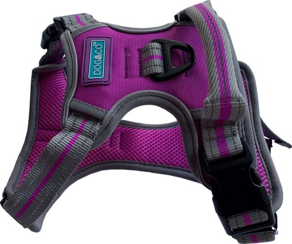 Purple Dog & Co Sports Adjustable Reflective Dog Harness