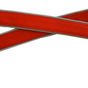 Dog & Co Red Reflective Dog Lead at The Lancashire Dog Company
