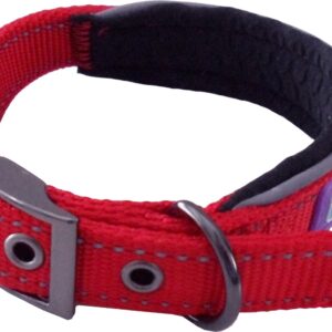 Dog & Co Red Reflective Padded Dog Collar at The Lancashire Dog Company