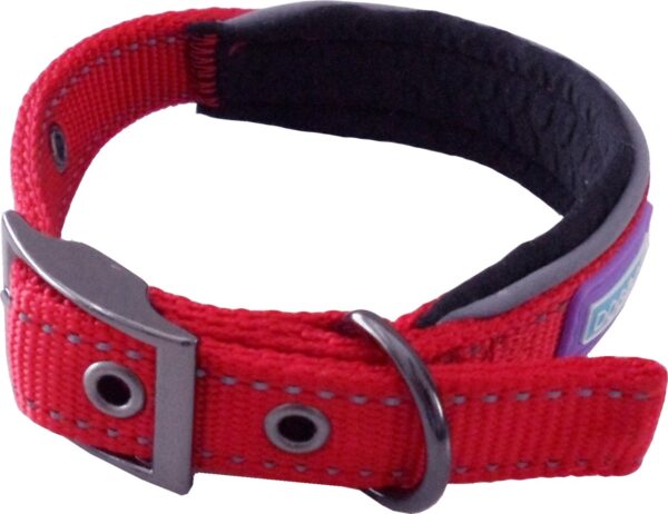 Dog & Co Red Reflective Padded Dog Collar at The Lancashire Dog Company