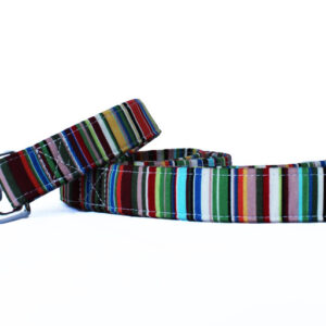 Arton & Co Deckchair Stripe Dog Lead