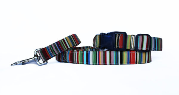 Arton & Co Deckchair Stripe Dog Collar and Dog Lead
