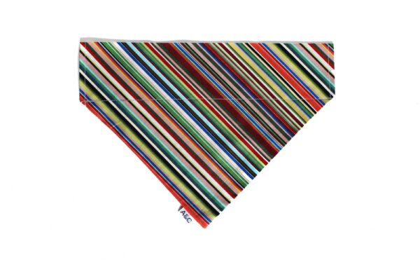 Arton & Co Deckchair Stripe Dog Bandana