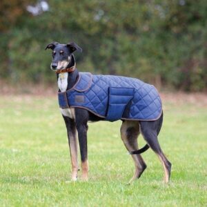 Blue Digby & Fox Quilted Dog Coat