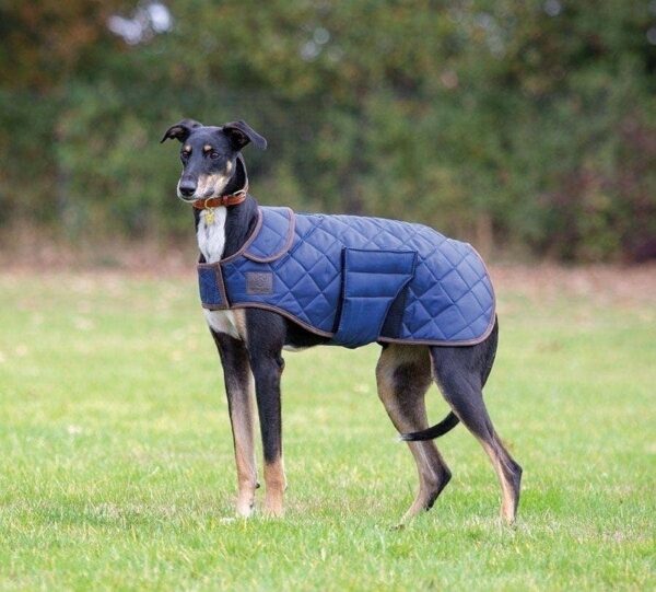 Blue Digby & Fox Quilted Dog Coat