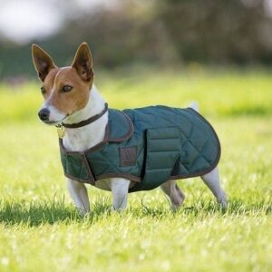 Digby & Fox Green Quilted Dog Coat