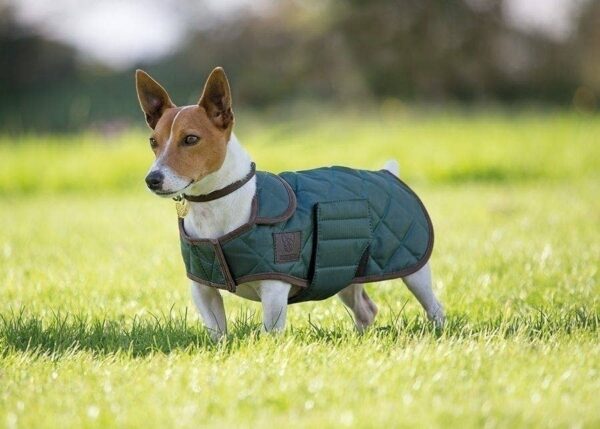 Green Digby & Fox Quilted Dog Coat