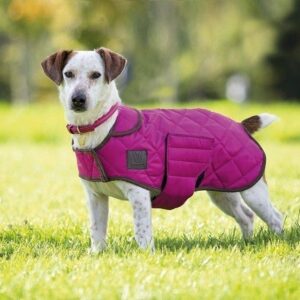 Pink Digby & Fox Quilted Dog Coat