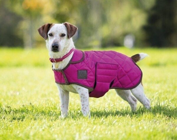 Pink Digby & Fox Quilted Dog Coat