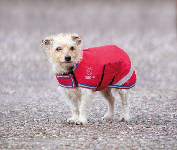 Red Digby & Fox Waterproof Dog Coat