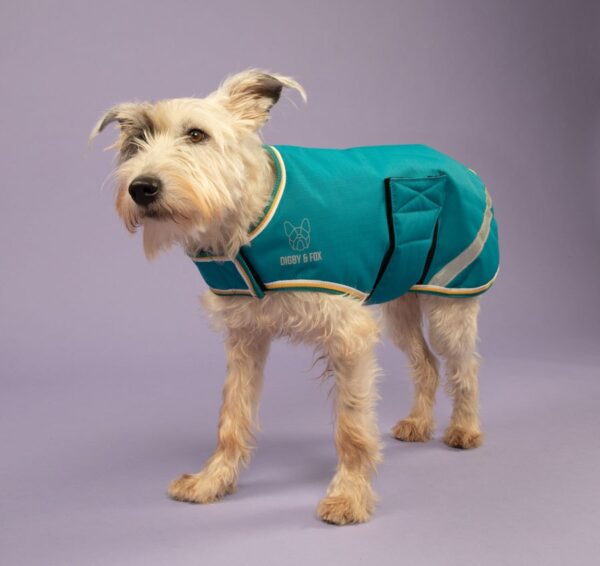 Teal Digby & Fox Waterproof Dog Coat