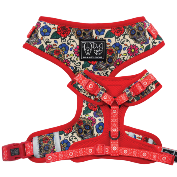 Big & Little Dogs 'Day of the Dead' skull and floral print adjustable dog harness