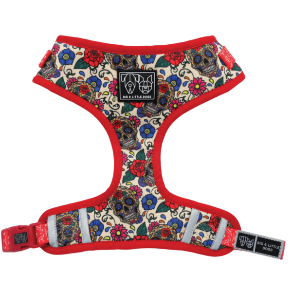 Big & Little Dogs 'Day of the Dead' skull and floral print adjustable dog harness