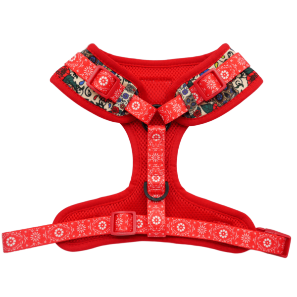 Big & Little Dogs 'Day of the Dead' skull and floral print adjustable dog harness