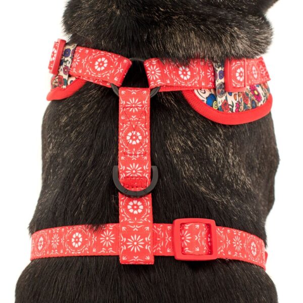 Big & Little Dogs 'Day of the Dead' skull and floral print adjustable dog harness