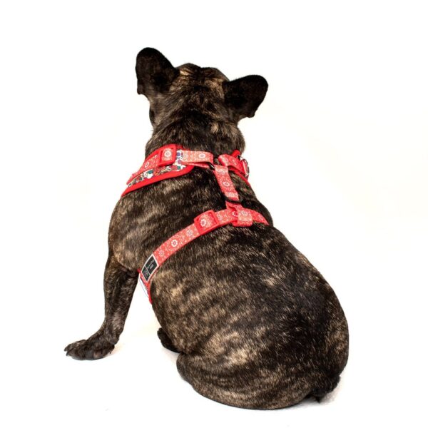 Big & Little Dogs 'Day of the Dead' skull and floral print adjustable dog harness