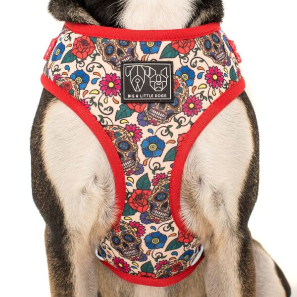 Big & Little Dogs 'Day of the Dead' skull and floral print adjustable dog harness
